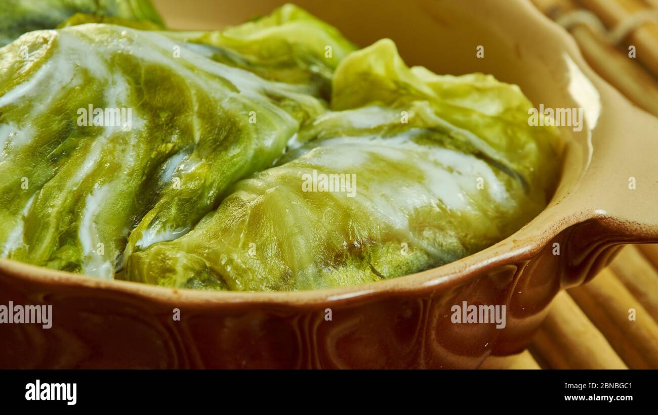 Hamsi dolmas, - Sardelle türkische Kohl dolma Nahaufnahme Stockfoto