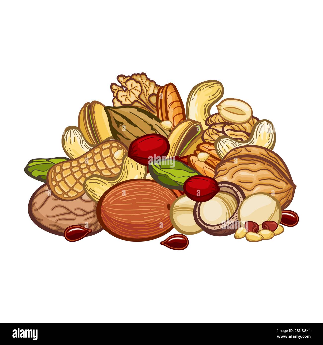 Nüsse assortie isoliert auf weißem Hintergrund. Nüsse Lebensmittel und natürliche Samen, gesunde Zutat für Vegetarier, Vektor-Illustration Stock Vektor