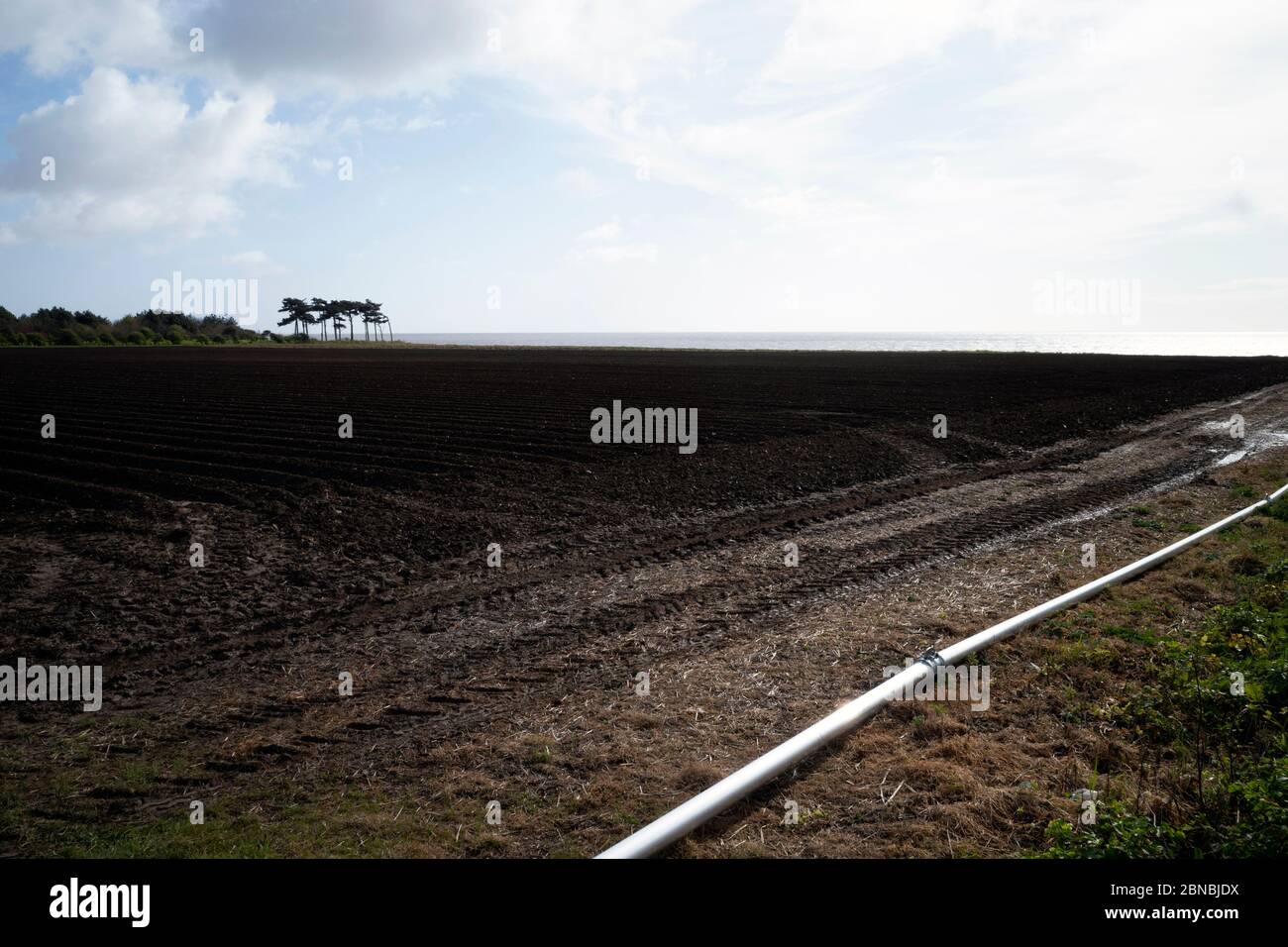 Bewässerungsrohre Bawdsey Suffolk UK Stockfoto