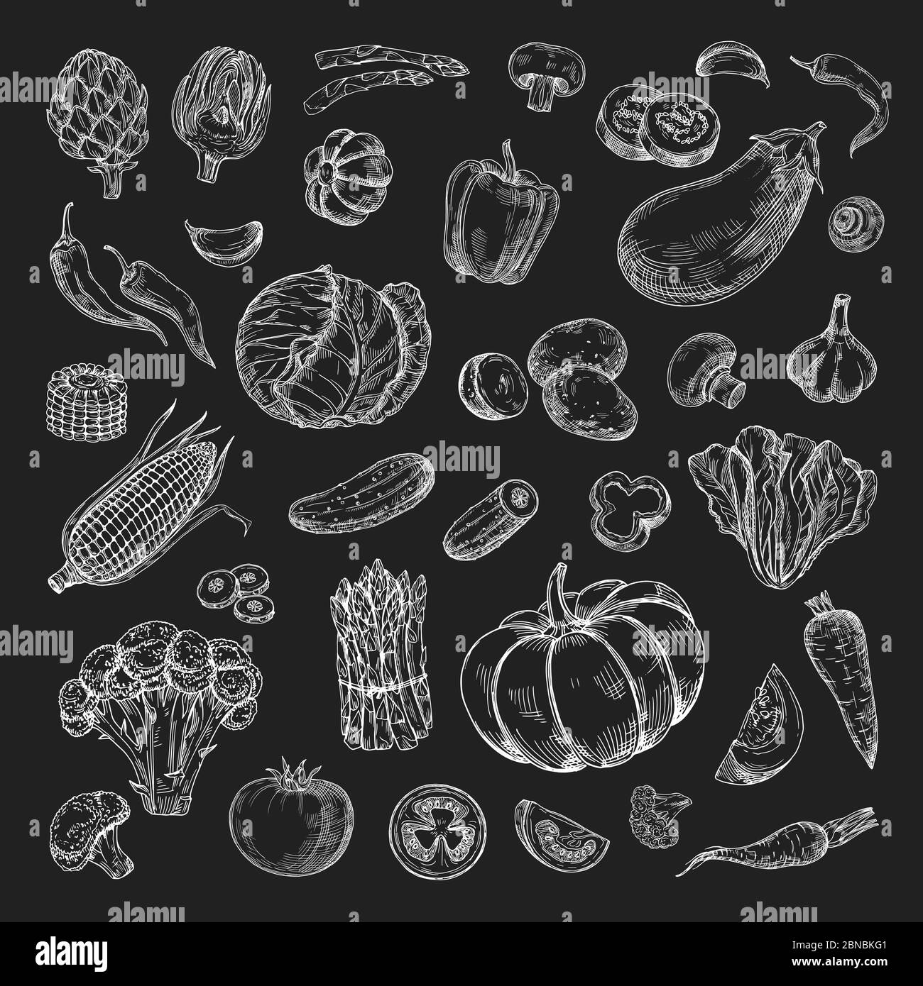 Handgezogenes Gemüse. Bauernhof Produkt im Retro-Skizzenstil. Kreide Zeichnung Gemüse auf Tafel Vektor-Sammlung. Illustration von Lebensmitteln Gemüse Skizze, vegetarisch Bio gesundes Produkt Stock Vektor