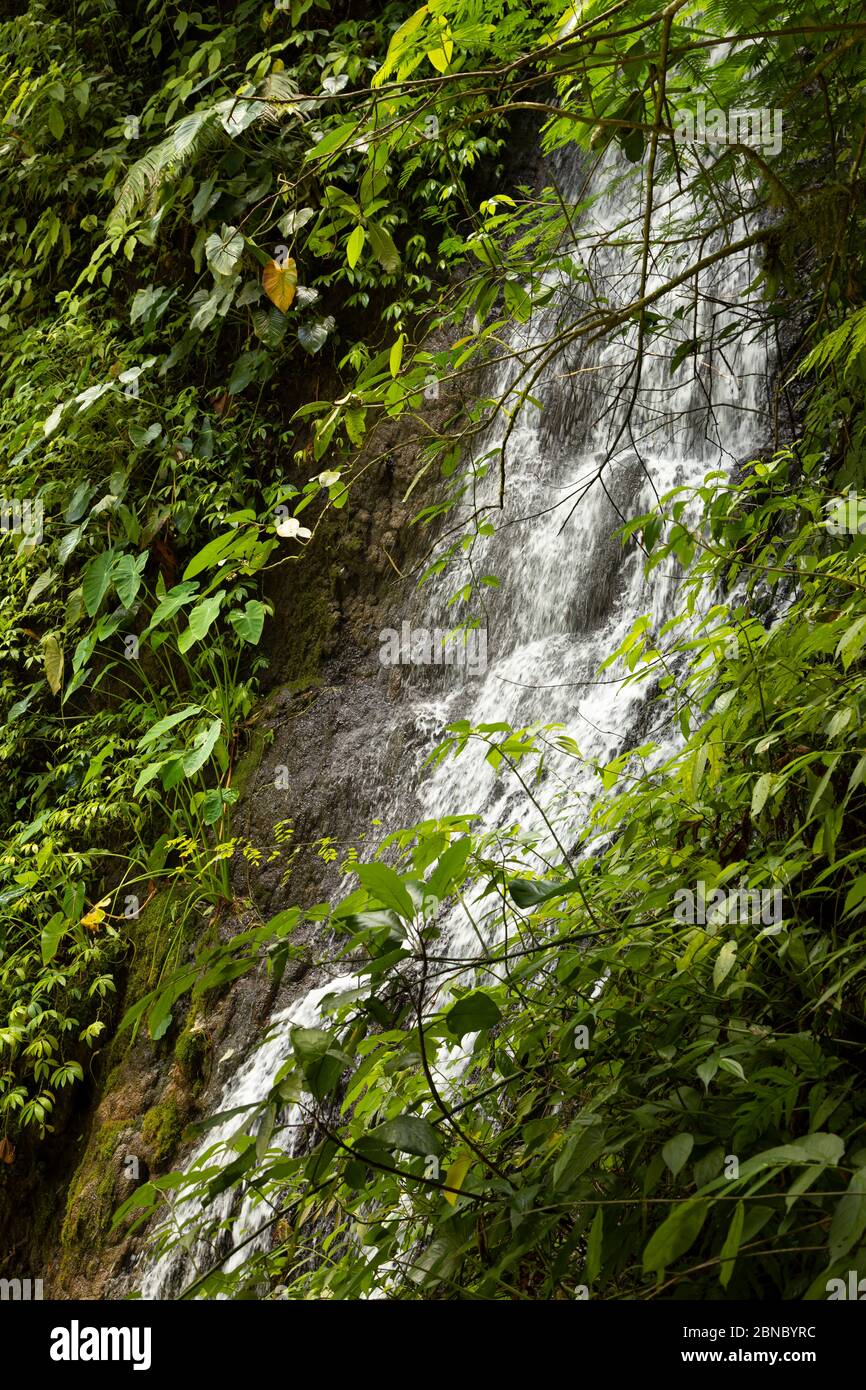 Nahaufnahme des frischen, lauten und intensiven Wassers im Tumpak Sewu Wasserfall in Ost-Java, Indonesien. Stockfoto
