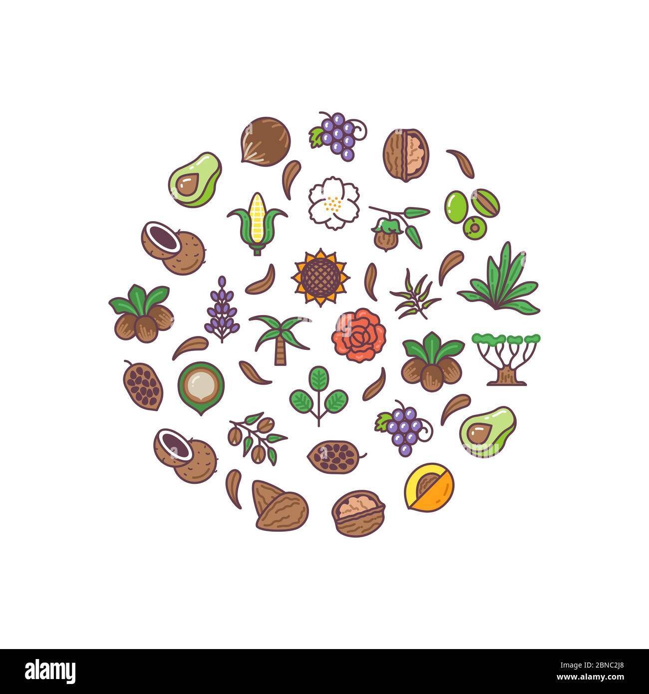 Gesunde Bio Kosmetik Öl lineare Vektor-Logos runden Vektor-Konzept. Illustration von natürlichen Ölblüten, gesunde Sonnenblumen und Trauben Stock Vektor