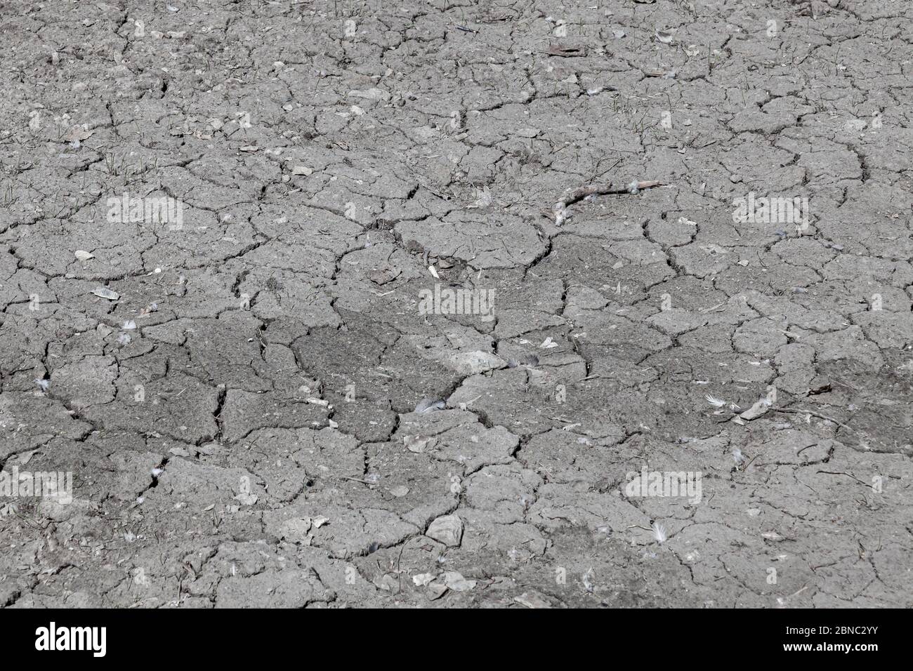 Eine Nahaufnahme von gesprungenem Asphalt durch die Rekonstruktion und Reparatur des Straßenbettes - die alte Schicht wird zerstört und eine frische Schicht wird an ihrer Stelle verlegt Stockfoto