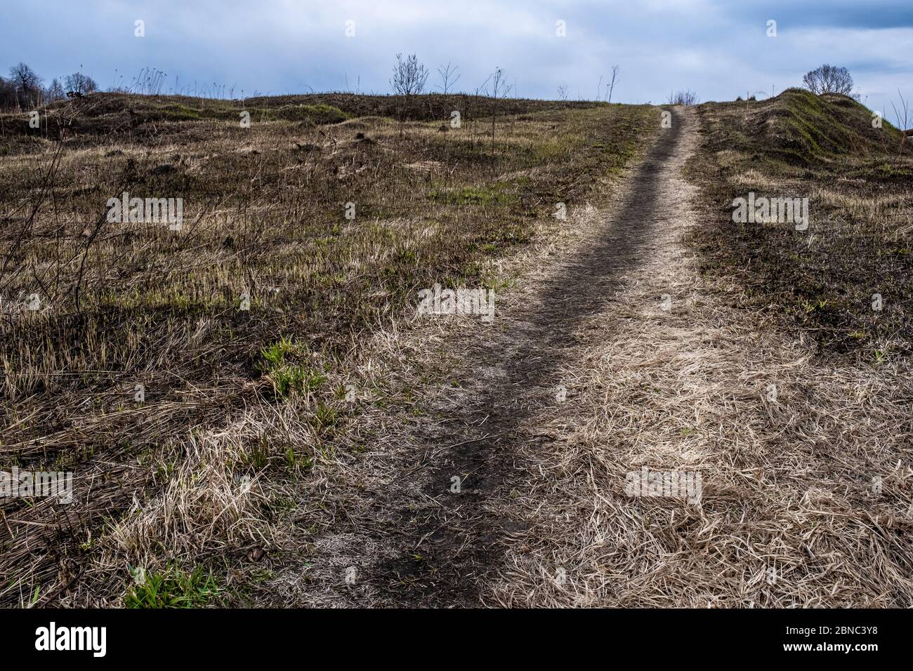 Ein gerade schmaler Weg auf dem Boden mit trockenem Gras des letzten Jahres, das an einem bewölkten Tag auf den Hügel steigt. Stockfoto