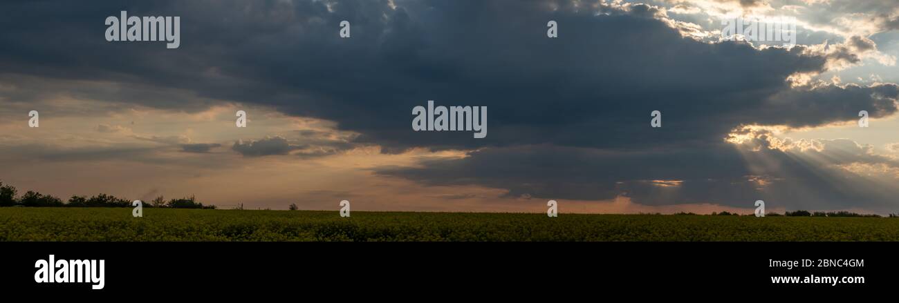 Panorama Hintergrund der dramatischen Wolkenlandschaft, Morgennebel über dem Feld Stockfoto