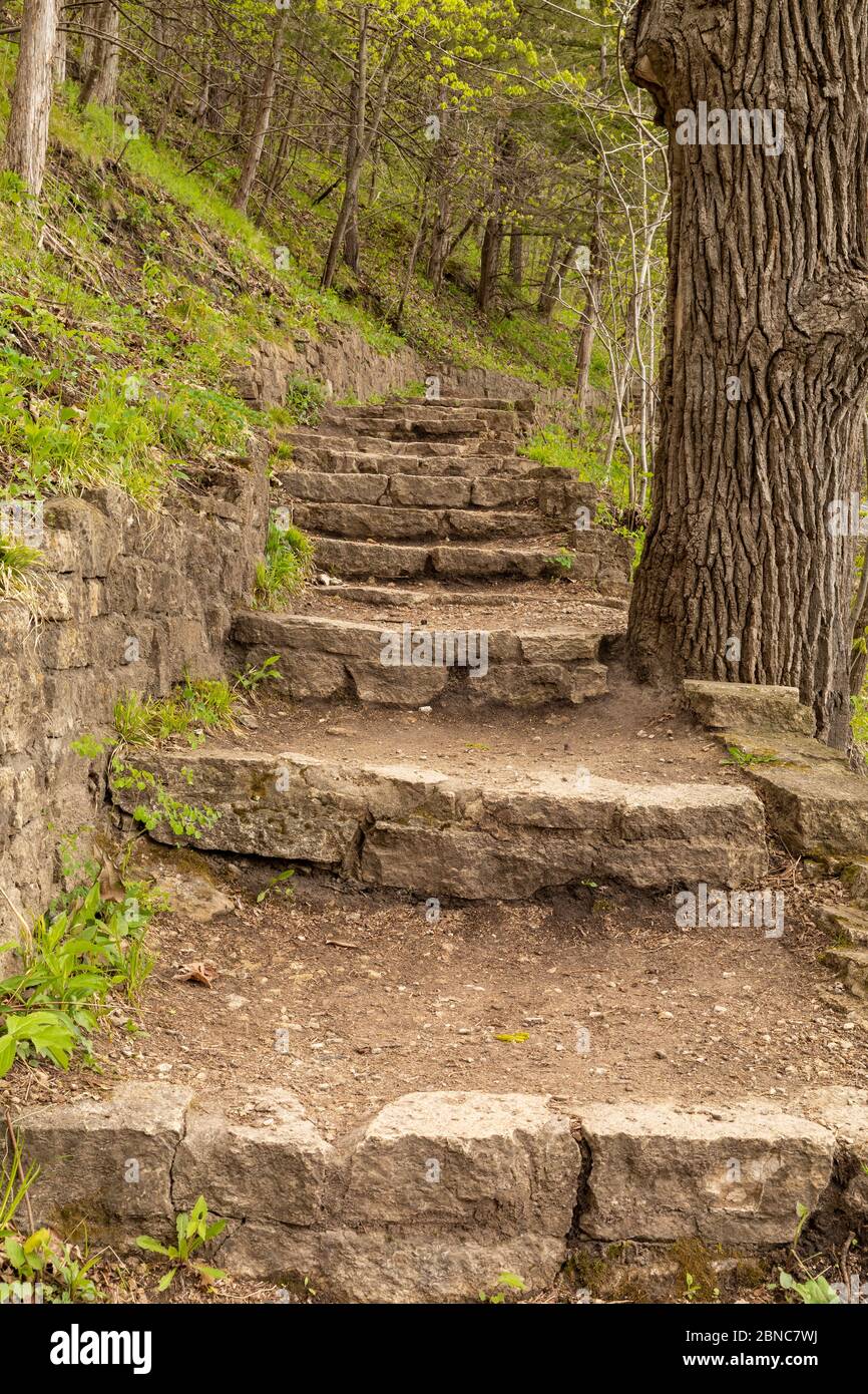 Ein Steinschritt Wanderweg in den Wäldern im Frühjahr. Stockfoto