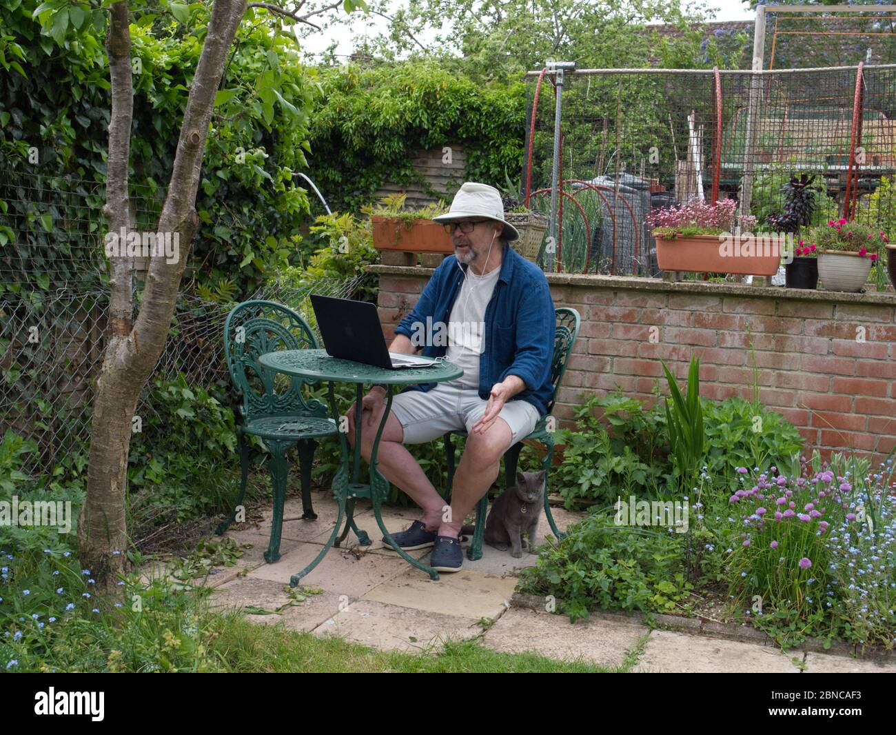 Mann, der während der Sperrung des Coronavirus einen FaceTime-Anruf im Garten macht. UK 2020 Modell freigegeben Stockfoto