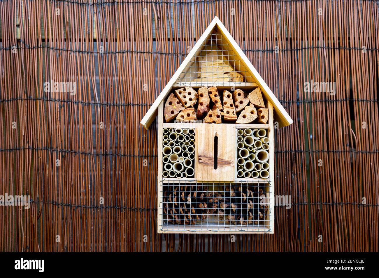 Insektenhaus oder Insektenhotel in einem Garten hinter dem Haus, Großbritannien Stockfoto