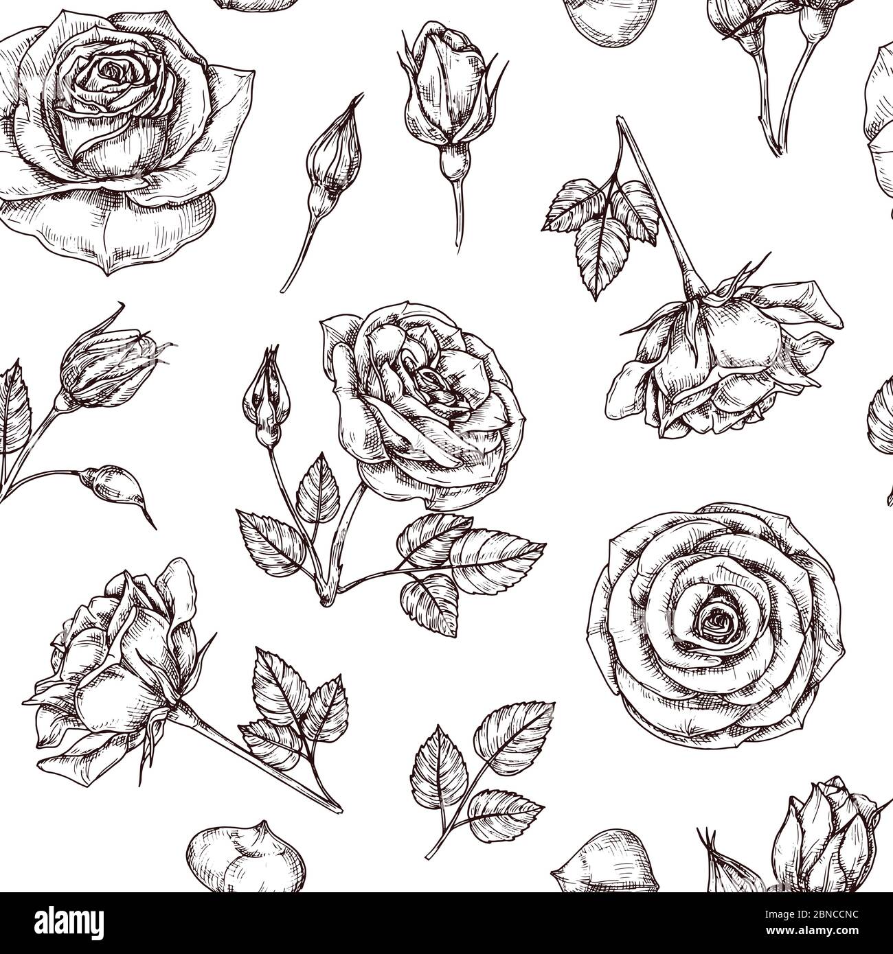 Rosen nahtloses Muster. Handgezeichnete Rose floral Textere. Blume Stoff wiederholen Vektor Vintage Hintergrund. Rose mit Blütenblatt Skizze Illustration Stock Vektor