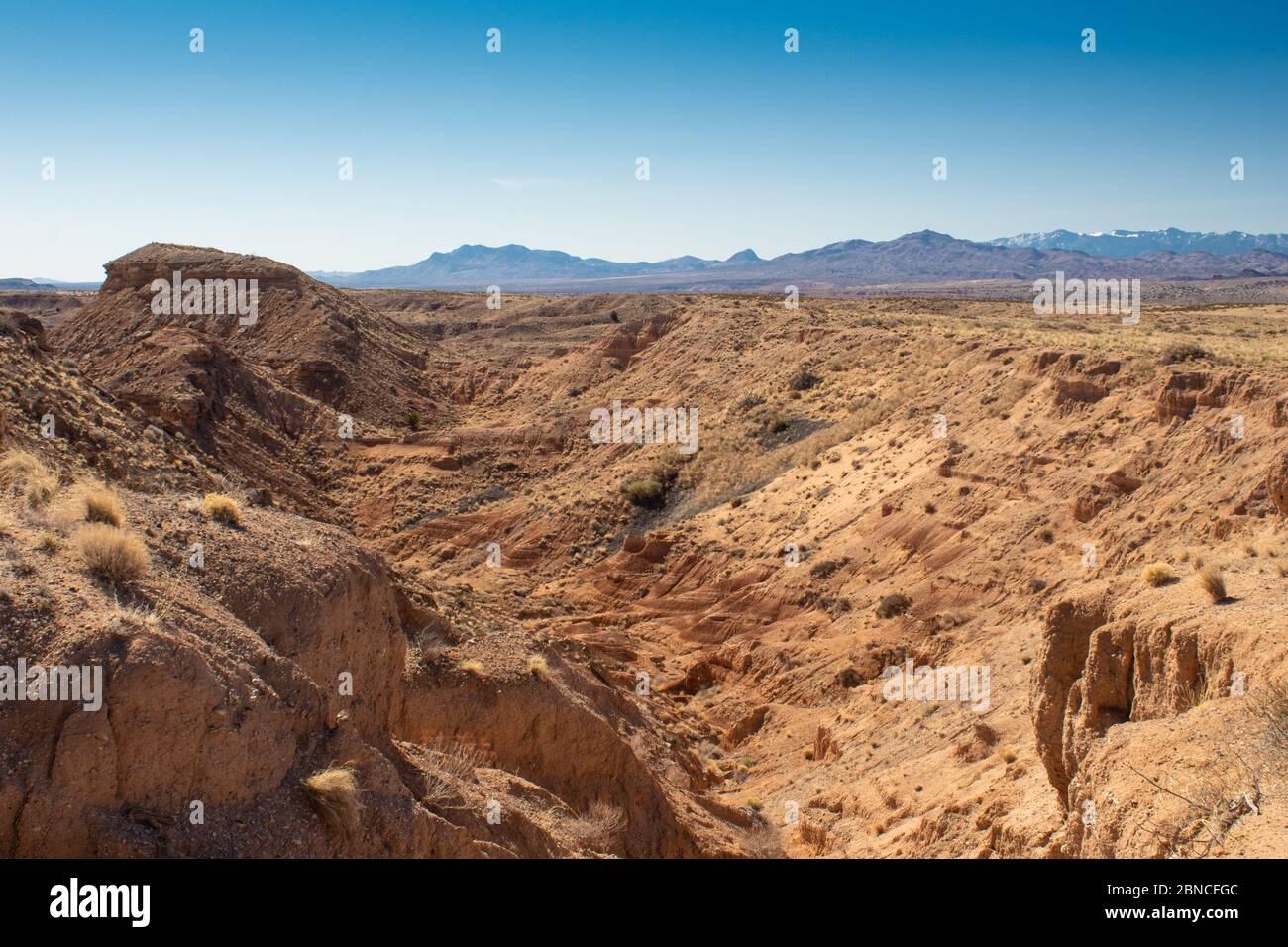 Wüste Canyon, karge Landschaft mit felsigen Gelände, entfernte Bergkette in New Mexico, horizontale Aspekt Stockfoto