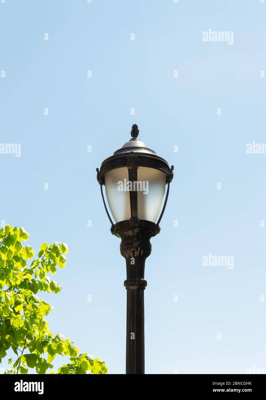 Eine antike, schwarze, unbeleuchtete Straßenlampe aus Metall gegen einen klaren, blauen Himmel mit Laub, der in die Aufnahme links unten hineinspägt Stockfoto