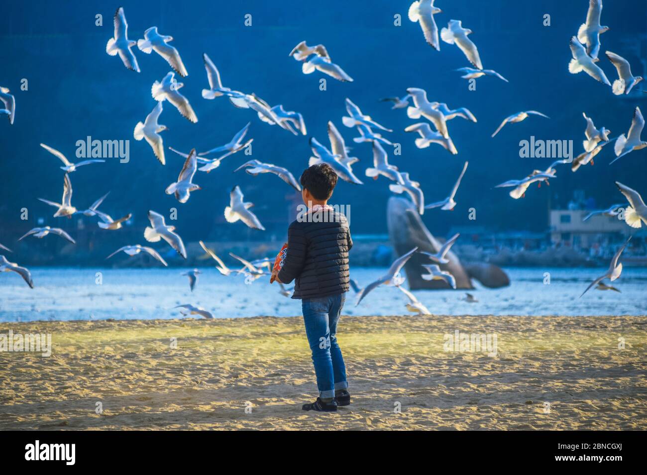 Busan, Südkorea 18/2020 Busan Songdo Skywalk Stockfoto