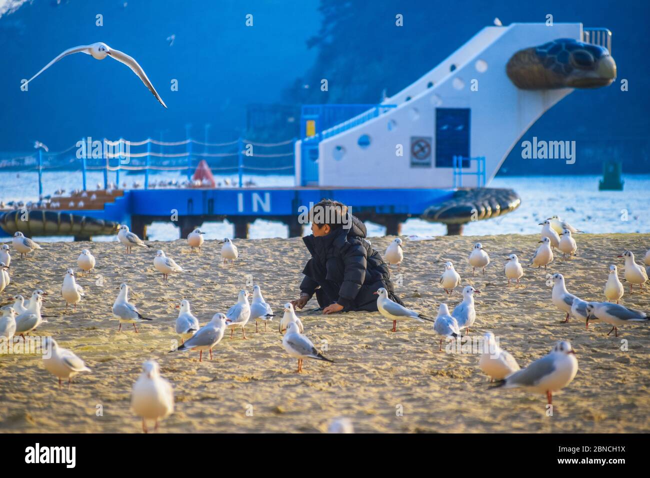 Busan, Südkorea 18/2020 Busan Songdo Skywalk Stockfoto
