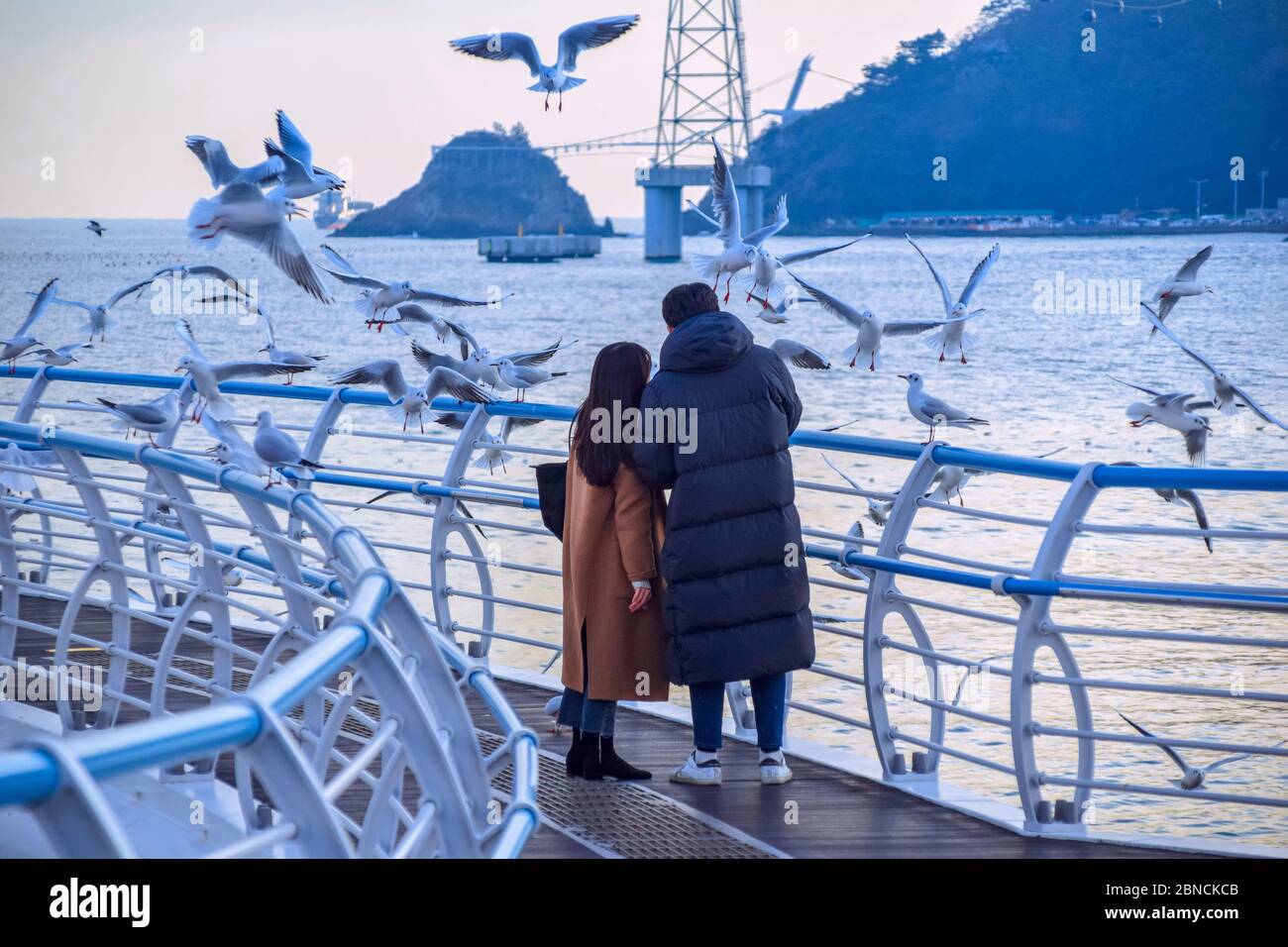Busan, Südkorea 18/2020 Busan Songdo Skywalk Stockfoto