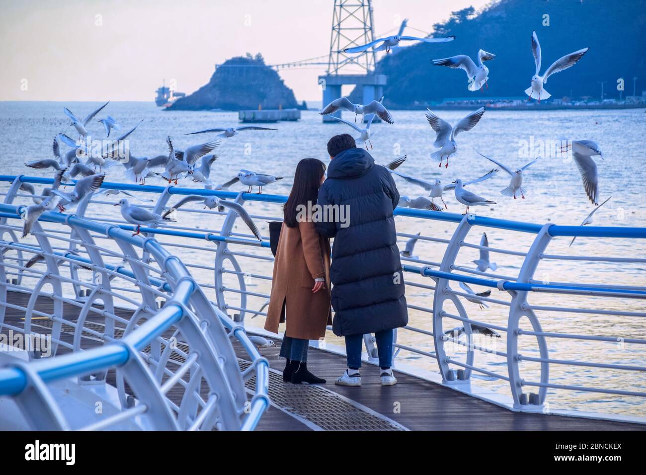 Busan, Südkorea 18/2020 Busan Songdo Skywalk Stockfoto