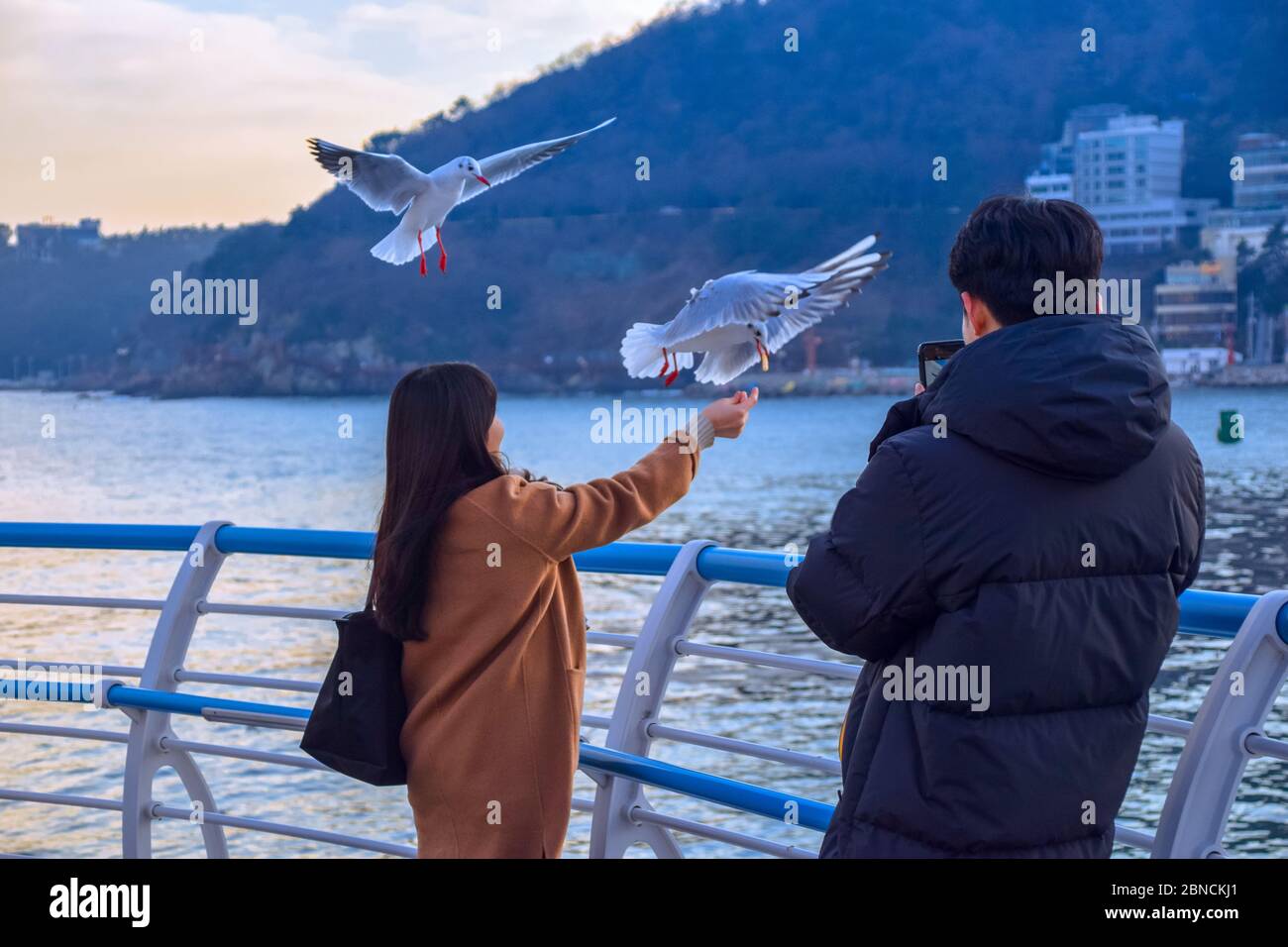 Busan, Südkorea 18/2020 Busan Songdo Skywalk Stockfoto