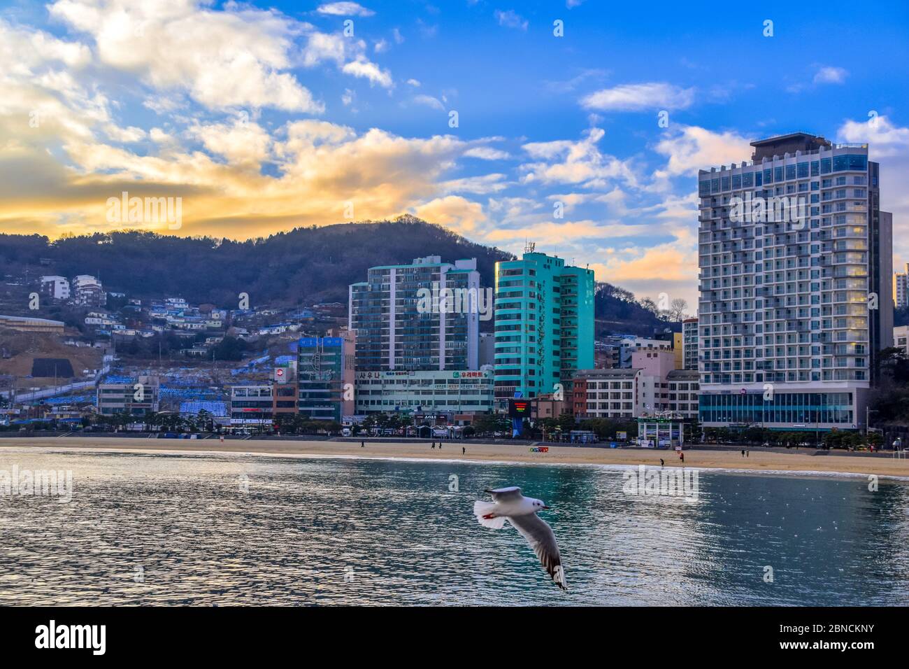 Busan, Südkorea 18/2020 Busan Songdo Skywalk Stockfoto