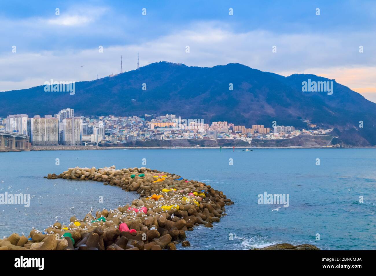 Busan, Südkorea 18/2020 Busan Songdo Skywalk Stockfoto
