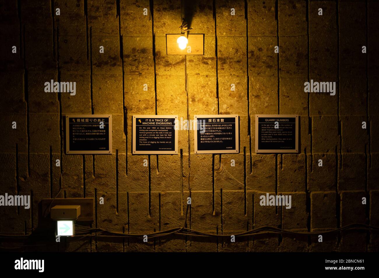 Tochigi, Japan - 21. März 2019: Blick von Oya History Museum, ein Museum und Event Space gebaut in einem massiven ehemaligen Steinbruch im Nordwesten Utsun Stockfoto