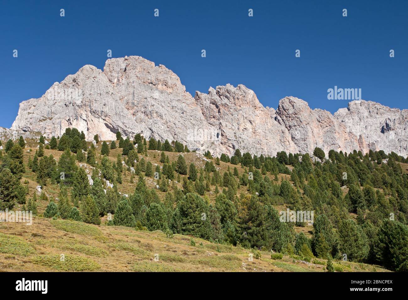 Naturpark Puez-Geisler Stockfoto