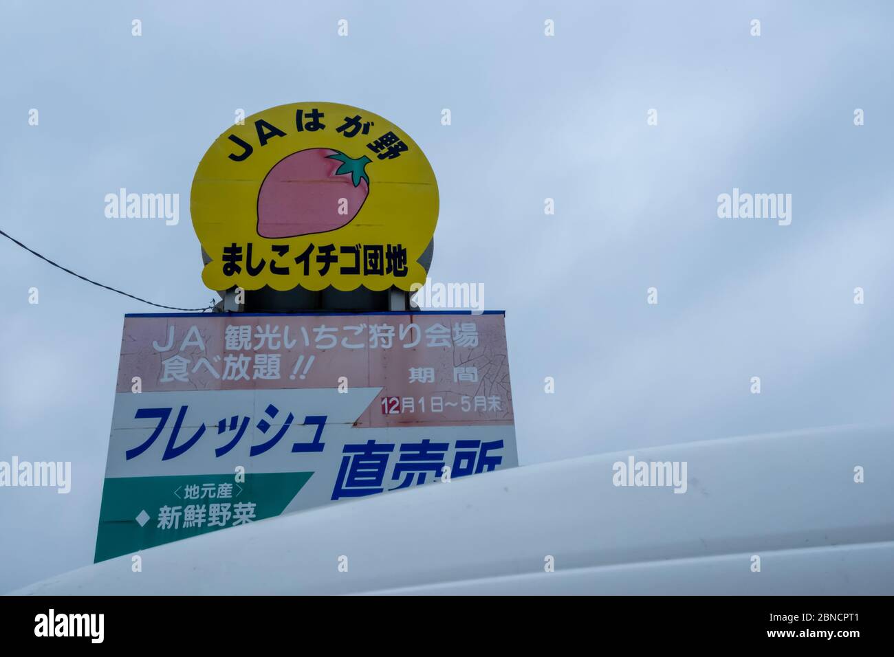 Tochigi, Japan - 21. März 2019: Blick auf ja Hagano Mashiko Erdbeerpflückerei Schild und Symbol in Mashiko, Tochigi, Japan. Stockfoto