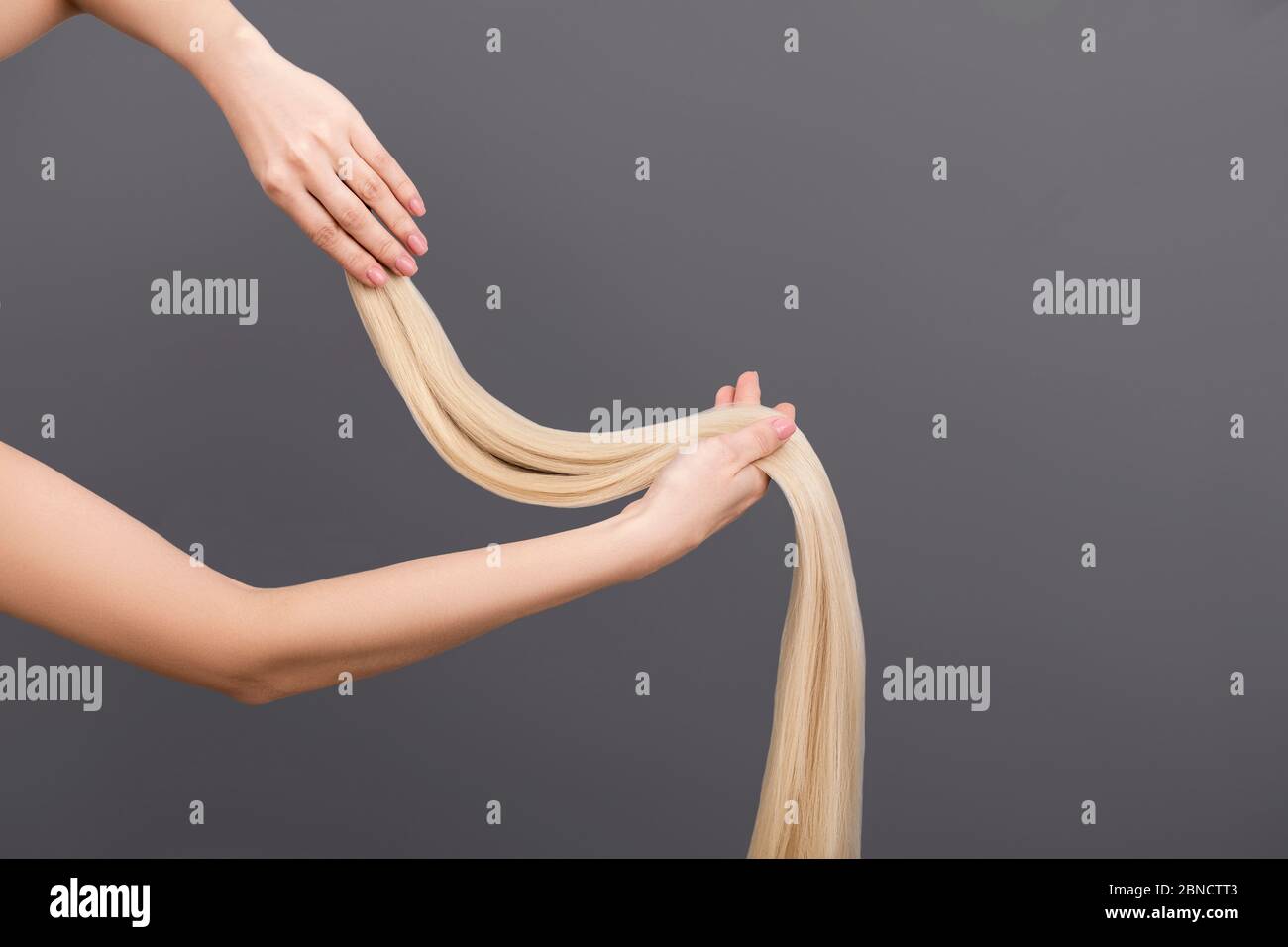 Proben von gefärbten Haaren. Zwei Hände halten ein Haar geschnitten für Verlängerung auf grauem Hintergrund Stockfoto