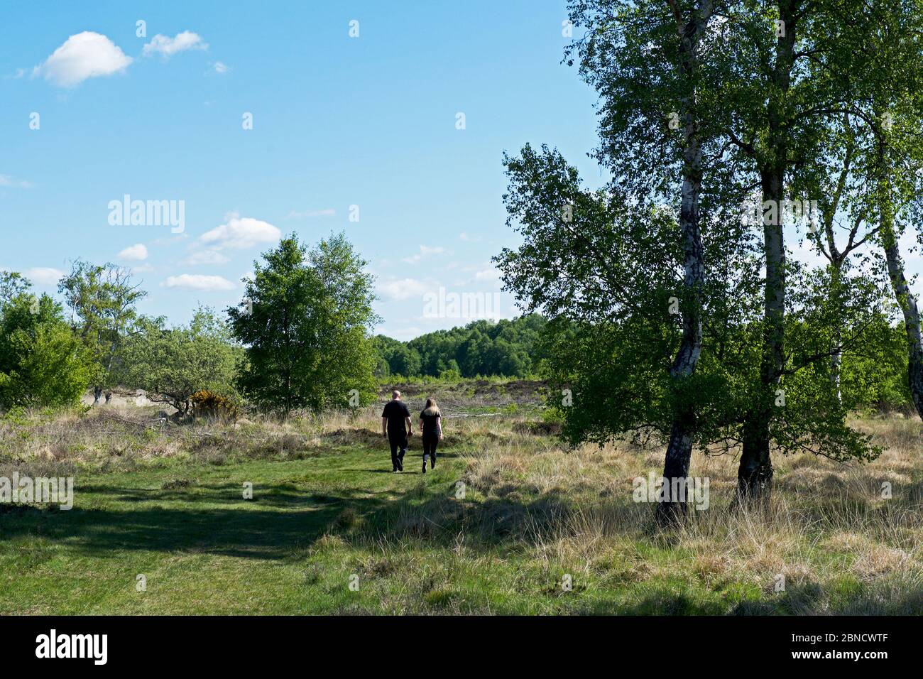 Paar zu Fuß, Strensall Common, ein Yorkshire Wildlife Trust Naturschutzgebiet in der Nähe von York, North Yorkshire, England Stockfoto