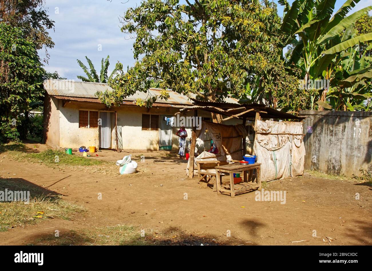 Stuckhaus, Welldach, Außenkonstruktion, Arbeitstische, Bäume, Schmutz, Wohnräume, Afrika; Arusha; Tansania Stockfoto