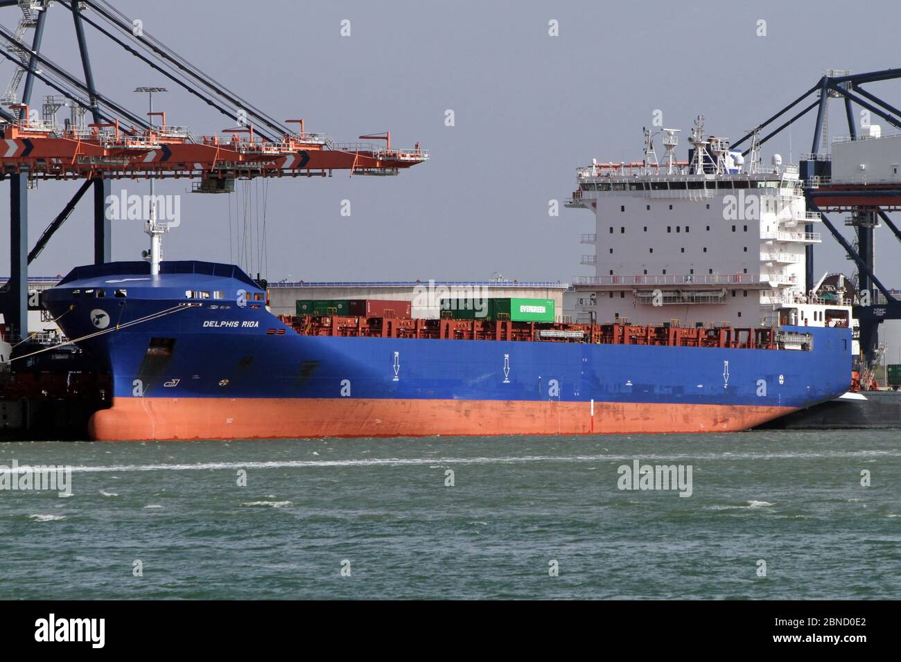 Das Feederschiff Delphis Riga wird am 12. März 2020 im Hafen von Rotterdam verladen. Stockfoto