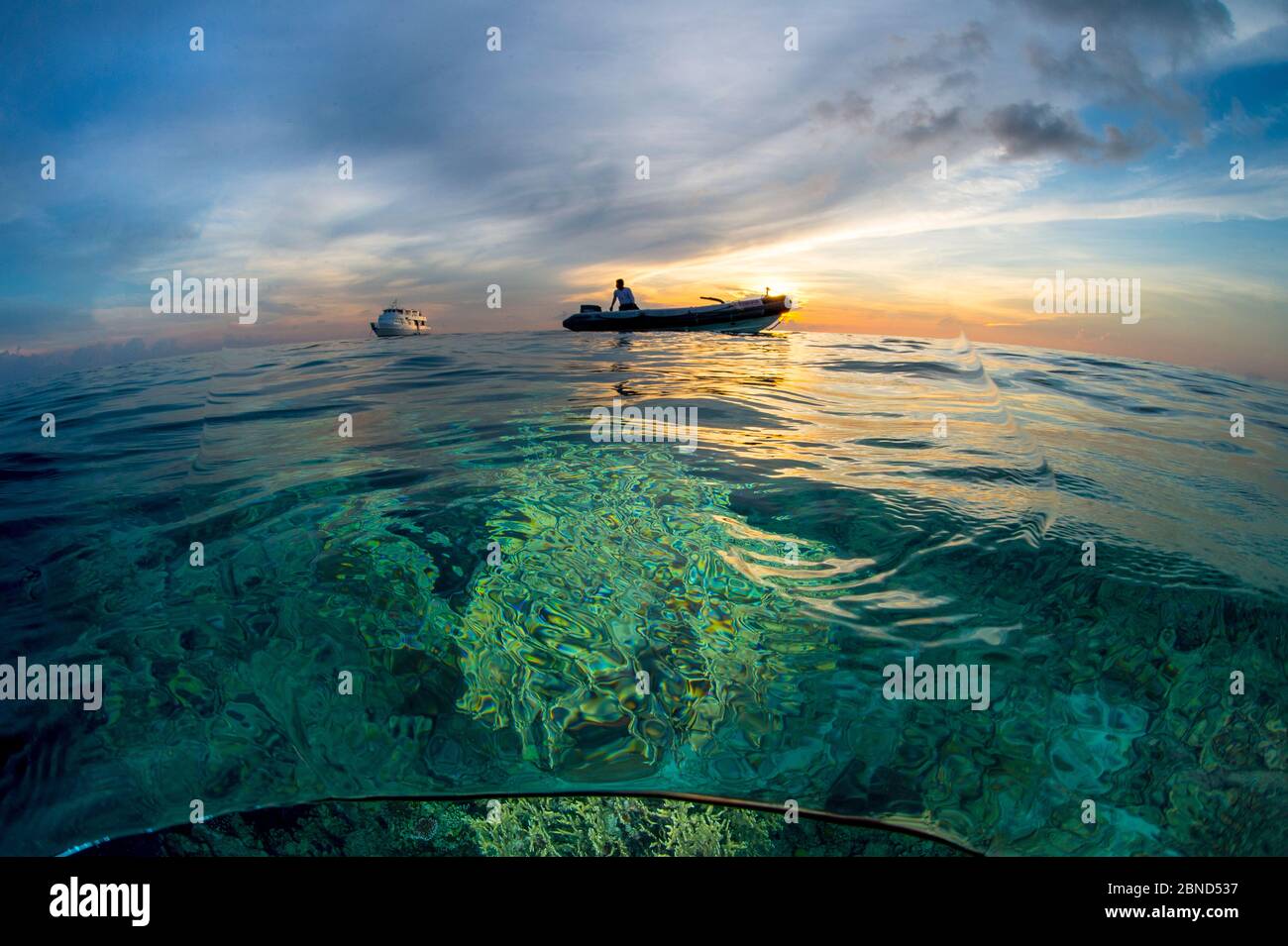 Tauchboot, MEINE Atlantis Azoren, und zart über einem Korallenriff bei Sonnenuntergang. Tubbataha Riff, Palawan, Philippinen. Sulu-See. Stockfoto