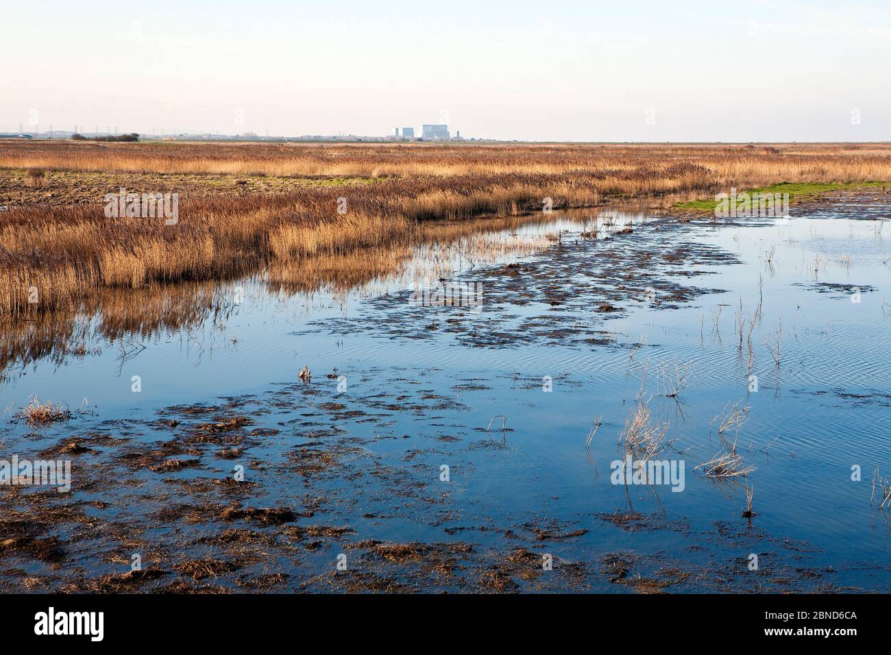 Steart Marschen grenzt an den Bristol Kanal und die Parrett Mündung. Jetzt erlaubt, auf hohe Gezeiten zu überfluten, um neue salzmarshische Lebensraum zu schaffen. Stockfoto