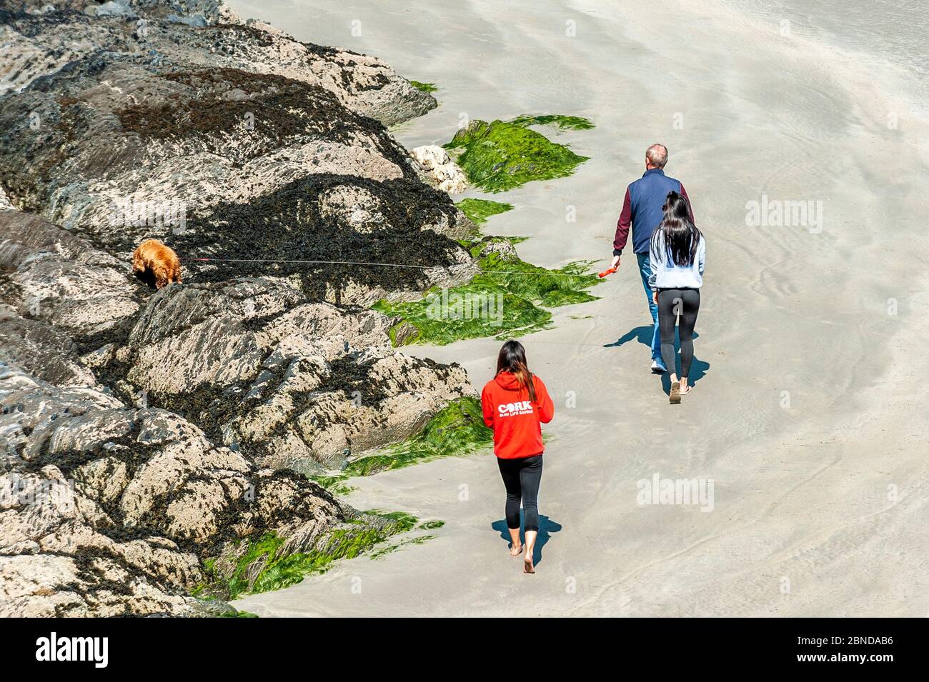 Inchydoney, West Cork, Irland. Mai 2020. Eine Familie geht am Montag, den 18. Mai, mit ihrem Hund am Inchydoney Beach spazieren, bevor die Covid-19-Beschränkungen gelockert werden. Credit: AG News/Alamy Live News Stockfoto