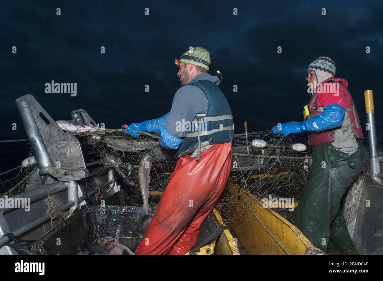 Fischer schleppen in gesetzten Kiemennetz während der Fischerei für Sockeye Lachs (Oncorhynchus nerka) in der Nacht, Graveyard Point, Bristol Bay, Alaska, USA, Juli 2015. M Stockfoto