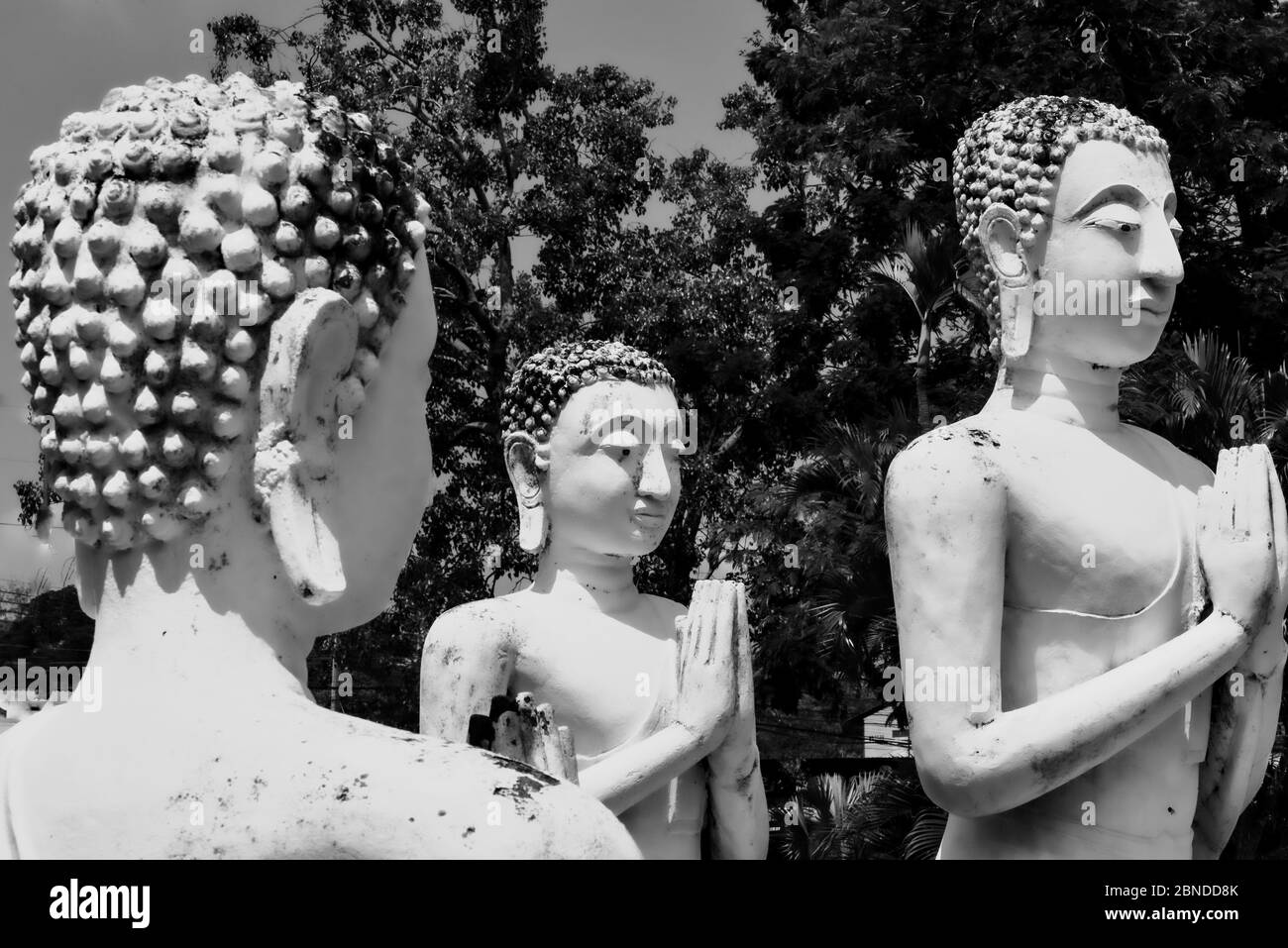 Graustufenaufnahme einer alten Buddha-Statuen Stockfoto