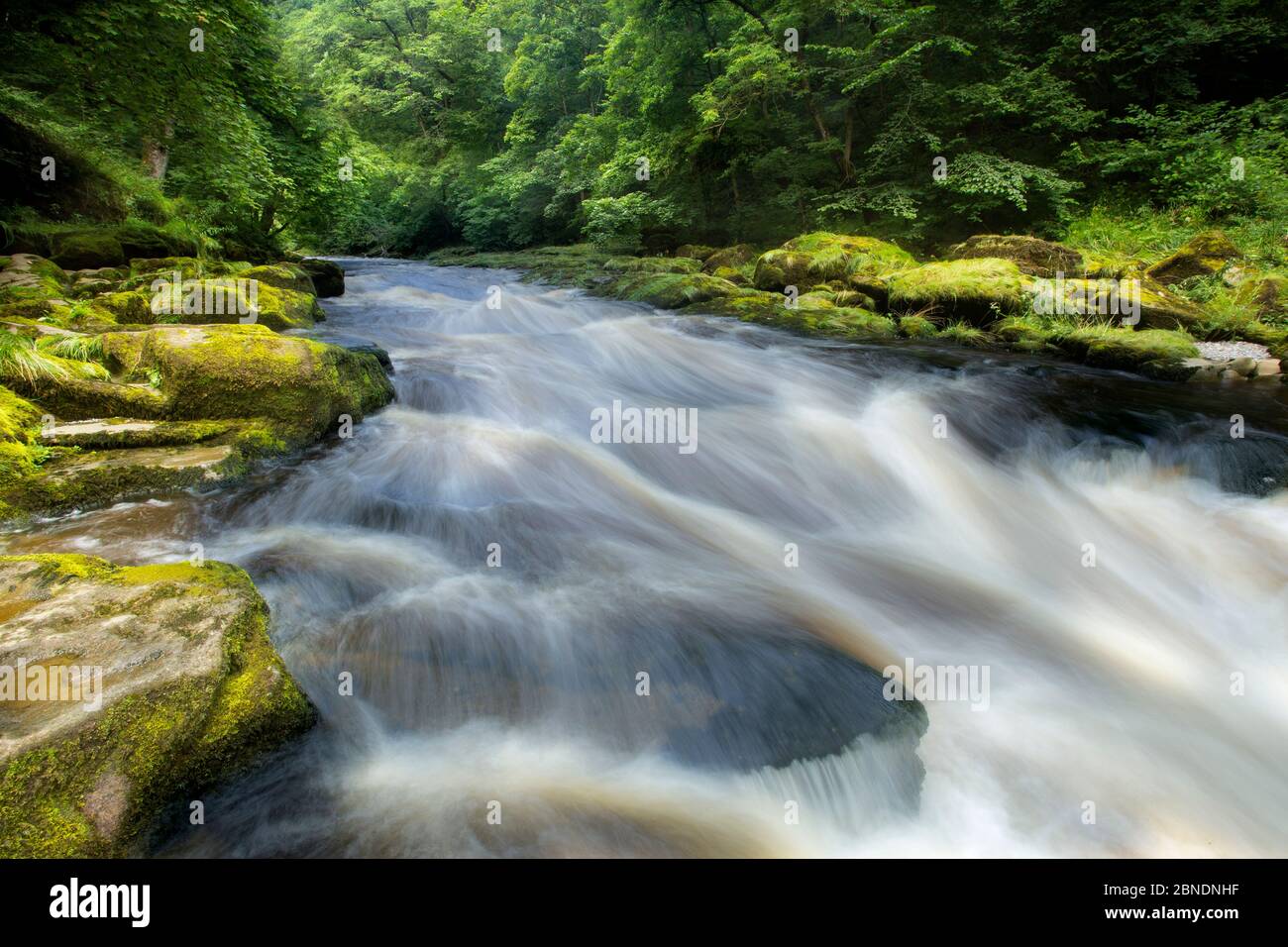 Die Strid, River Wharfe, Verschlusszeit, die Bewegung des Wassers, Bolton Abbey Estate, Wharfedale, North Yorkshire, August 2015 Stockfoto