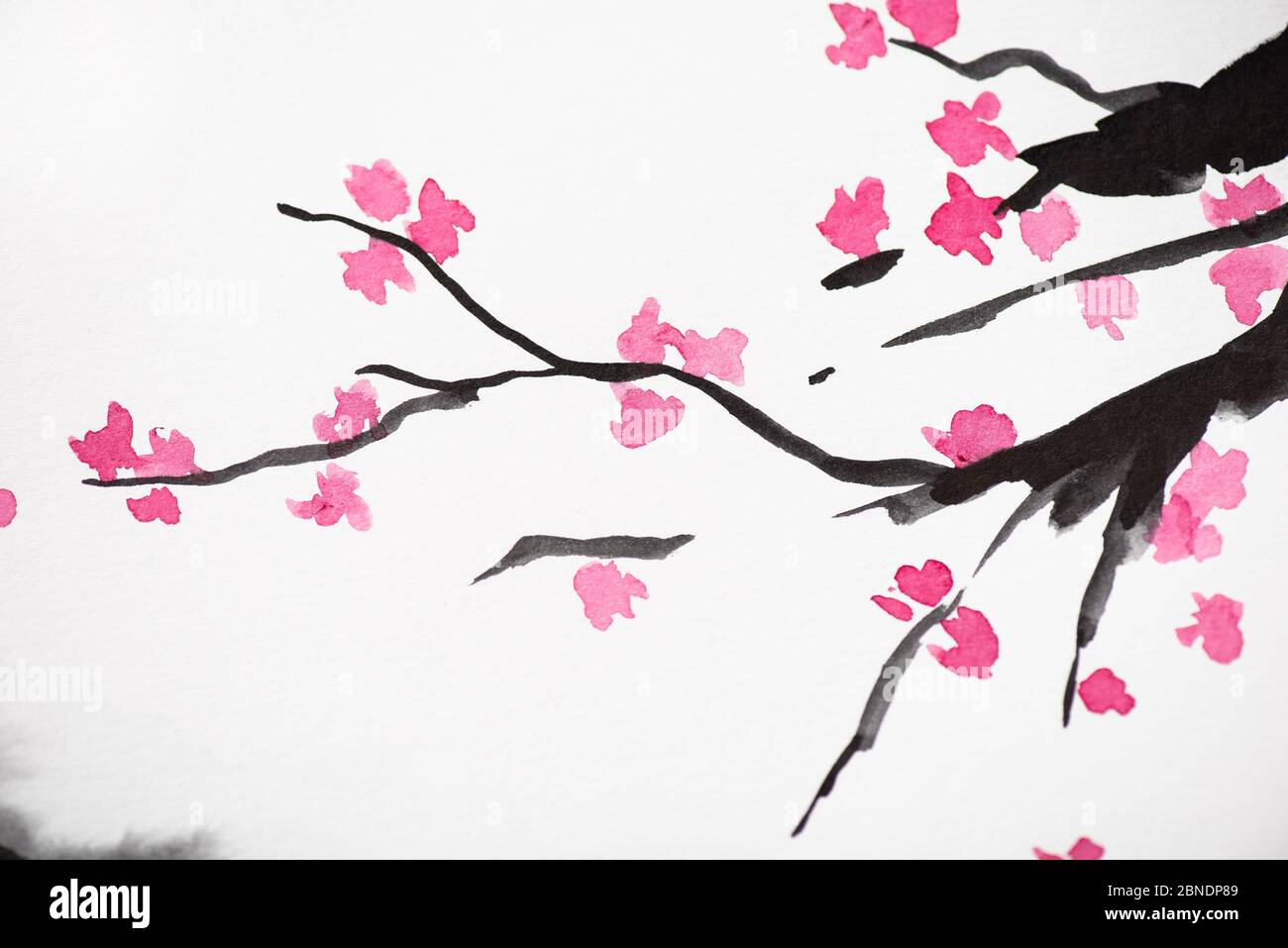 Kirschblüten malen lernen - 5-Schritte-Anleitung in Aquarell