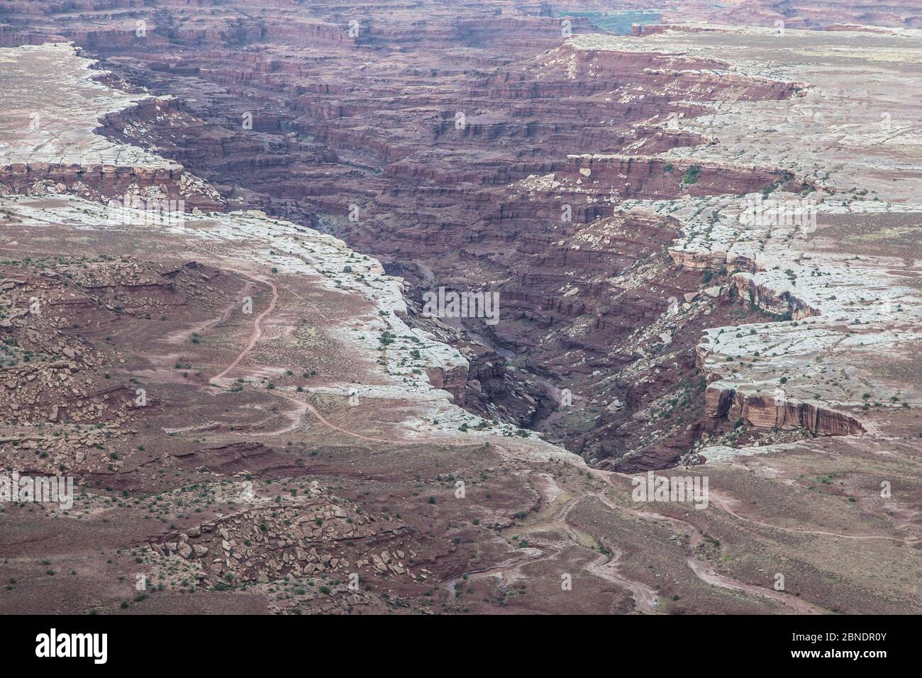 Buck Canyon in der Dämmerung, Island in the Sky, Canyonlands National Park, Utah, USA. Stockfoto