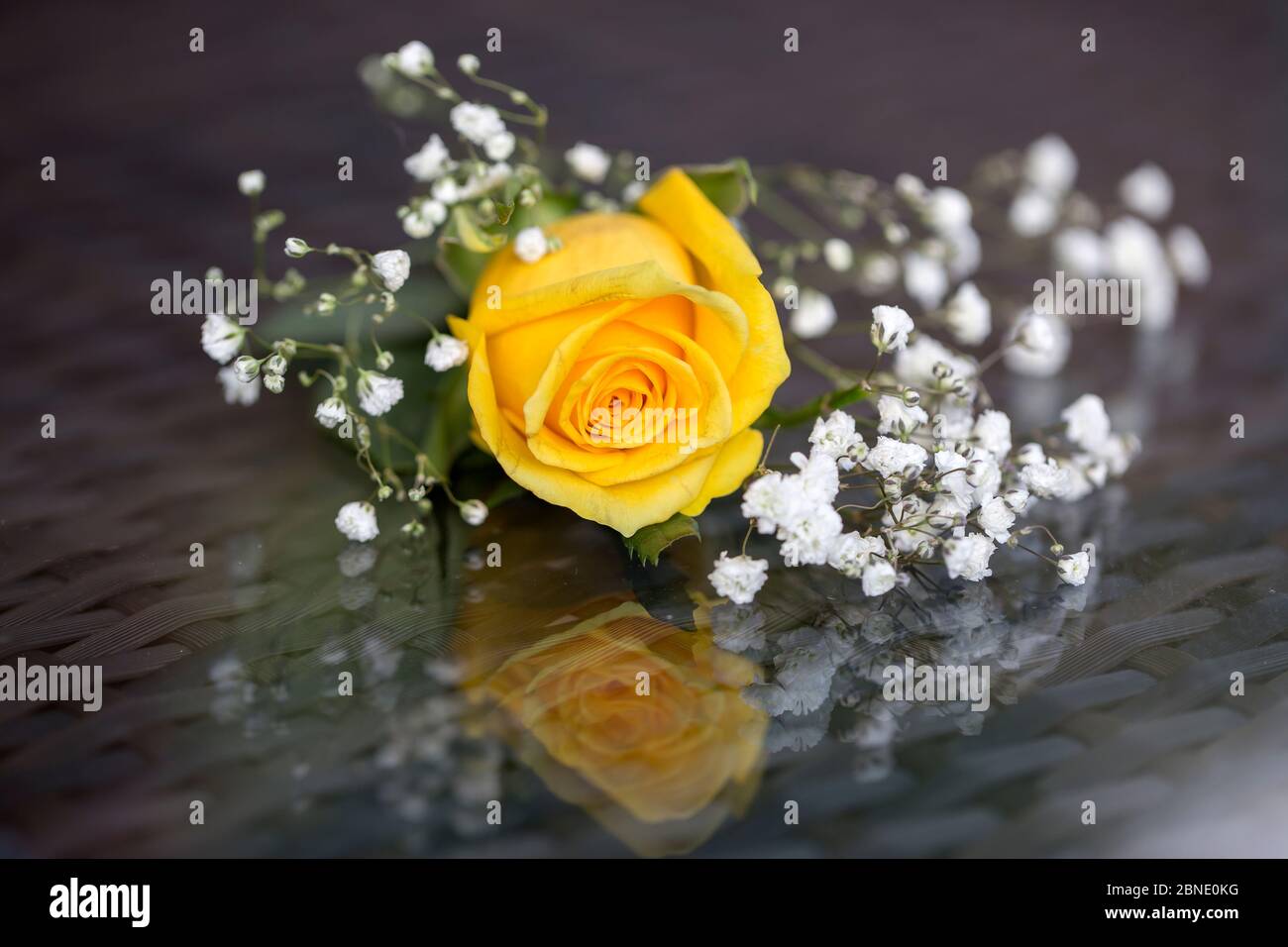 Bouquet von englischen Rosen Stockfoto