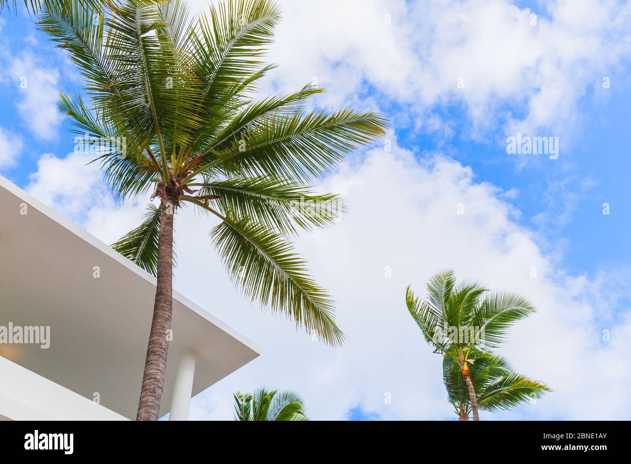 Abstrakt minimalistische Architektur Hintergrund mit weißem Beton außen Fragment und Palmen unter blau bewölkten Himmel Stockfoto