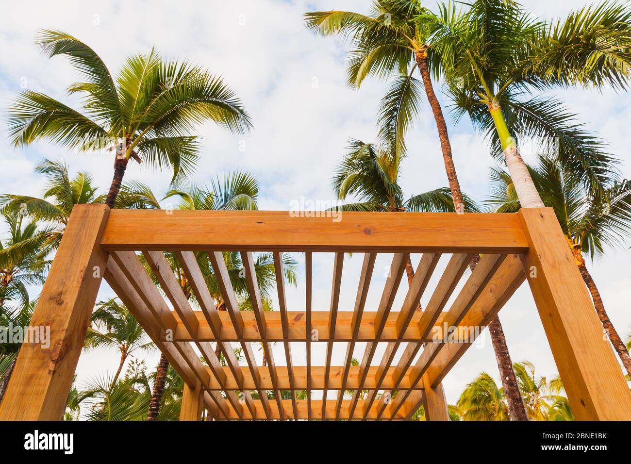 Hölzerne Sonnenschutzstruktur und Palmen sind unter blauem Himmel an sonnigen Sommertagen Stockfoto