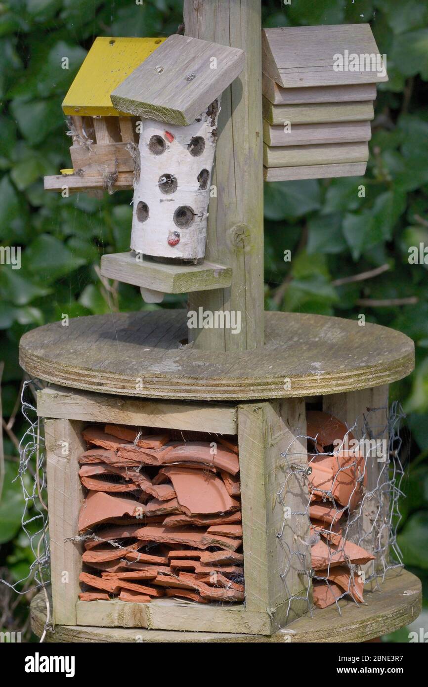 Insektenhotel mit einer Vielzahl von Spalten zwischen zerbrochener Keramik, gebohrten Baumstämmen und Holzblöcken, Gloucestershire, Großbritannien, April. Stockfoto