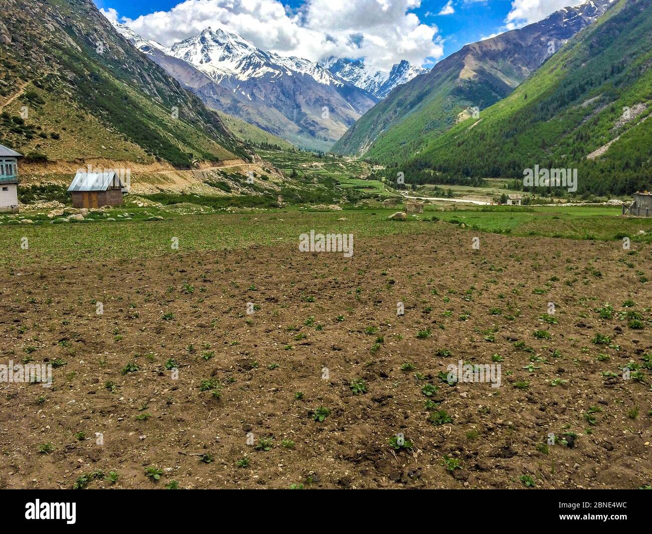 Das letzte Dorf, Spiti Valley, Himachal Pradesh – der Ort heißt Chitkul, das letzte Dorf an der Grenze zwischen Indien und China in Indien. Stockfoto