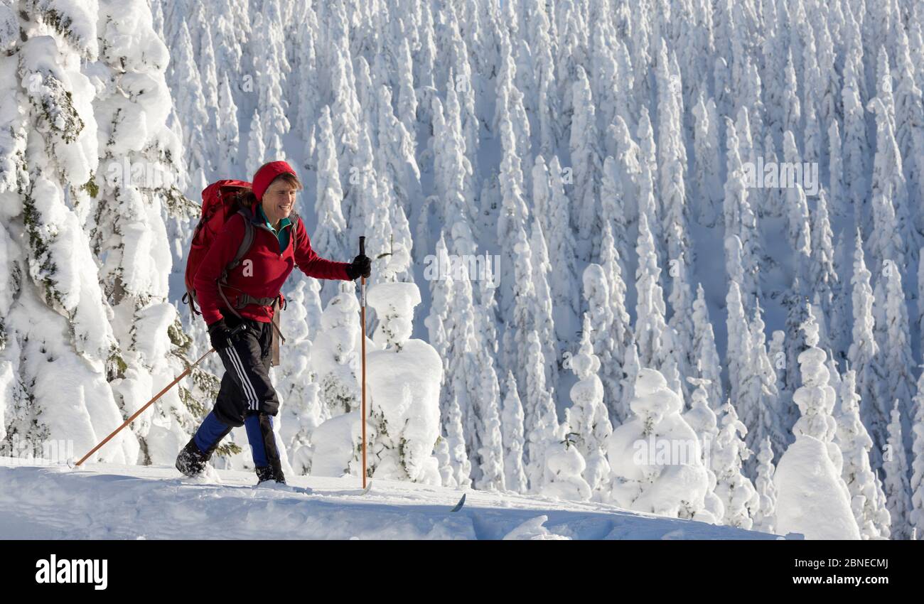 Skilangreifer, Amabilis Mountain, Mount Baker-Snoqualmie National Forest, Washington, USA. Dezember 2015. Modell freigegeben. Stockfoto