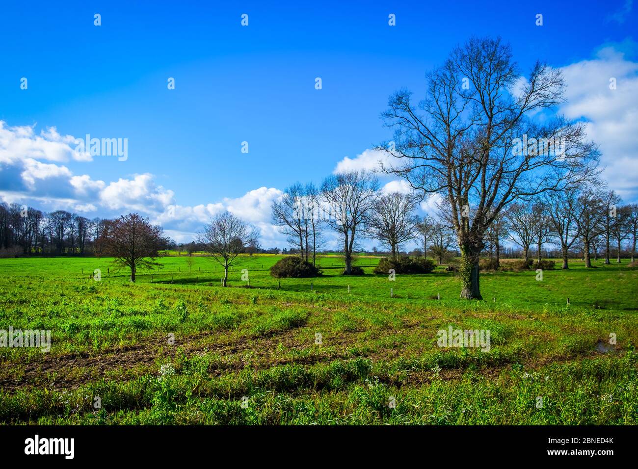 Feld in Couesmes-Vauce in der Mayenne Landschaft an einem Wintertag, Frankreich Stockfoto