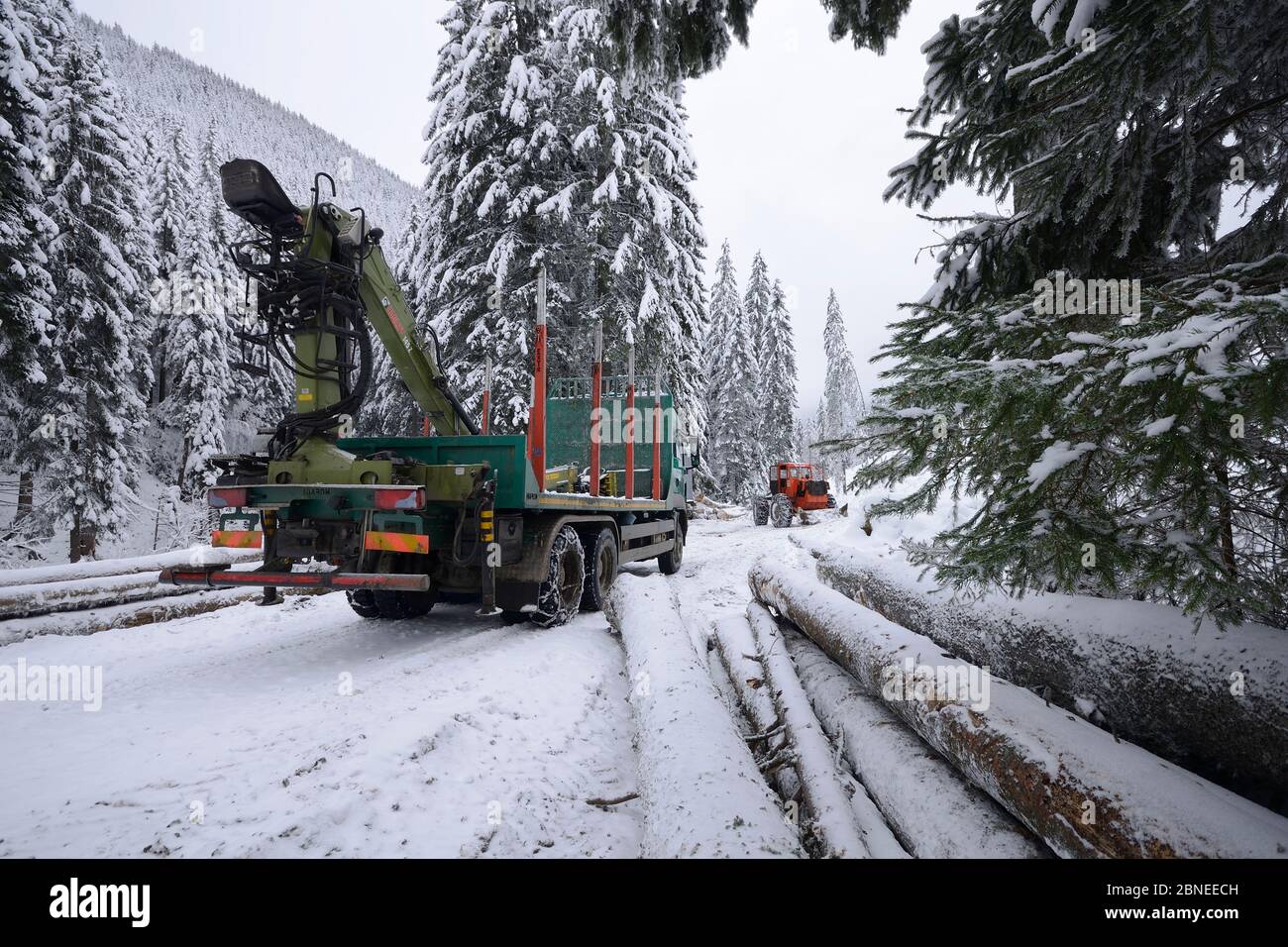 Holzfahrzeug im Retezat Gebirge, Karpaten, Rumänien, November 2013 Stockfoto