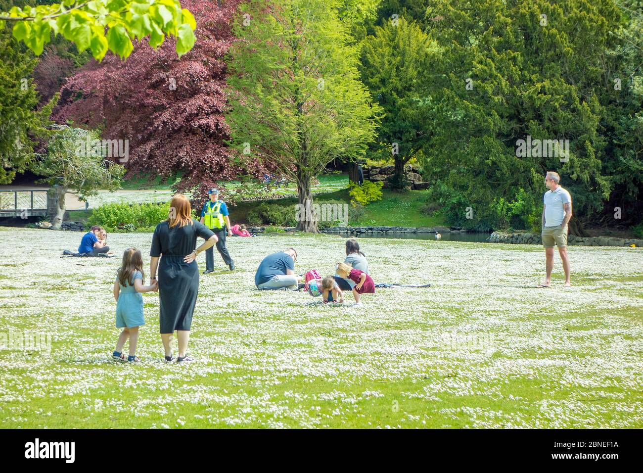 Die Polizei überwacht Familien, die den Sonnenschein im Buxton Park am ersten Tag der Lockerung der Sperrmaßnahmen während der Pandemie von Corvid 19 genießen Stockfoto