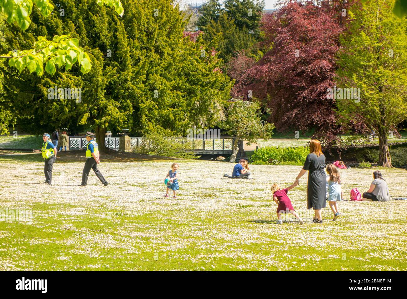 Die Polizei überwacht Familien, die den Sonnenschein im Buxton Park am ersten Tag der Lockerung der Sperrmaßnahmen während der Pandemie von Corvid 19 genießen Stockfoto