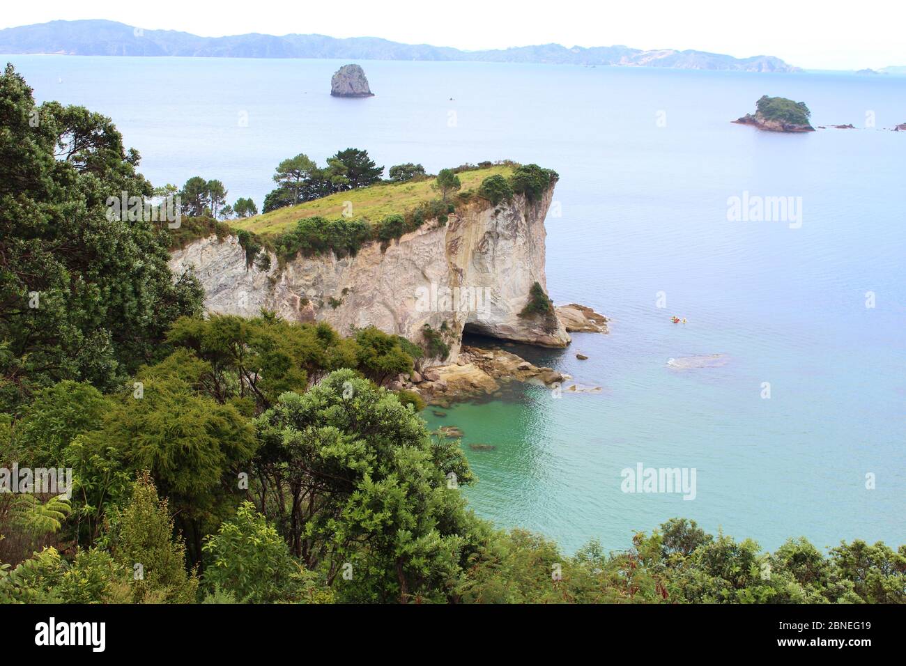 Landschaftlich schöne Küste mit grünen bewaldeten Klippen und blauem weiten Ozean in der Nähe von Hahei in Neuseeland. Stockfoto