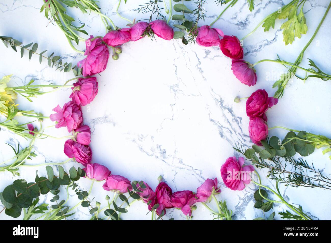 Schöne rosa Blüten mit grünem Stamm und Eukalyptus ranunculus auf dem Marmorgrund Stockfoto