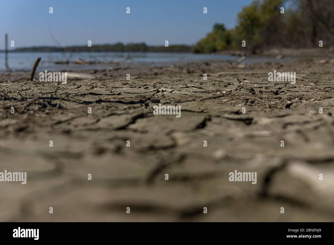 Rissiger, schlammiger Boden am Ufer mit Donau im Hintergrund Stockfoto